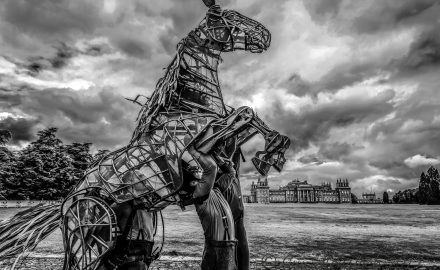War Horse at Blenheim Palace